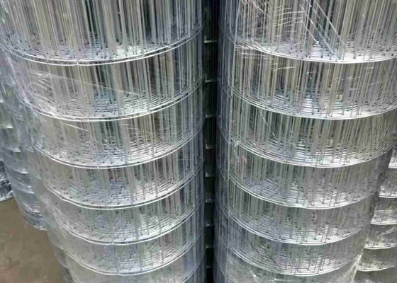 4" X 2"  Opening 0.105inch Diameter Wire SS Welded Wire Mesh Non Rusting