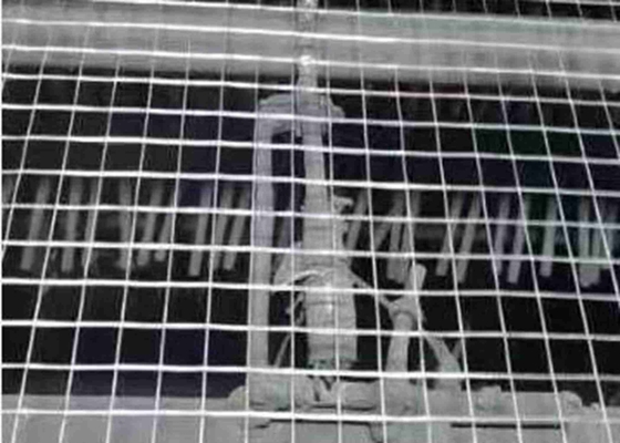 Panels Or Rolls Length 0.5-30m Ss Welded Wire Mesh T304 Remain Intact And Rigid