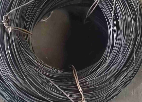 Intorno al cavo 316 Uns S31600/baccano 1,4401/Aisi 316 di acciaio inossidabile di 8mm