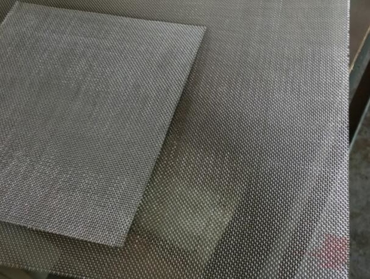 Lo schermo di sicurezza di acciaio inossidabile ingrana la dimensione lunga 10mesh 0.8mm di 30m 0.9mm 1.2mm