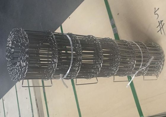 BACCANI bordo del ciclo del nastro trasportatore del cavo di 2.8mm - di 0.9mm singolo o doppio bordo del ciclo