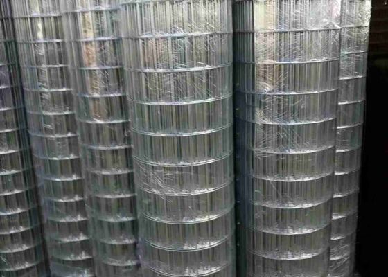 100 x superficie di Mesh Bright Color And Smooth saldata 50 galvanizzati elettrici