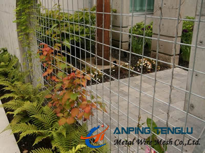 Il supporto Astm ss della pianta salda Mesh Stable Corrosion Resistance